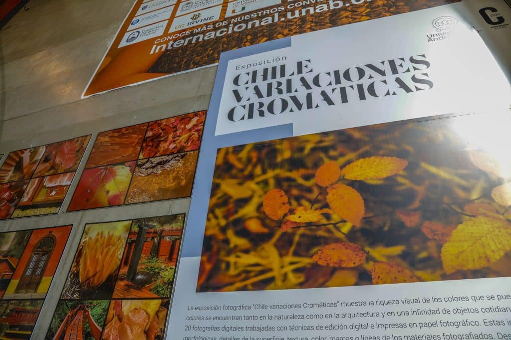 Chile-cromatico-expo-Casona-marzo-10-scaled