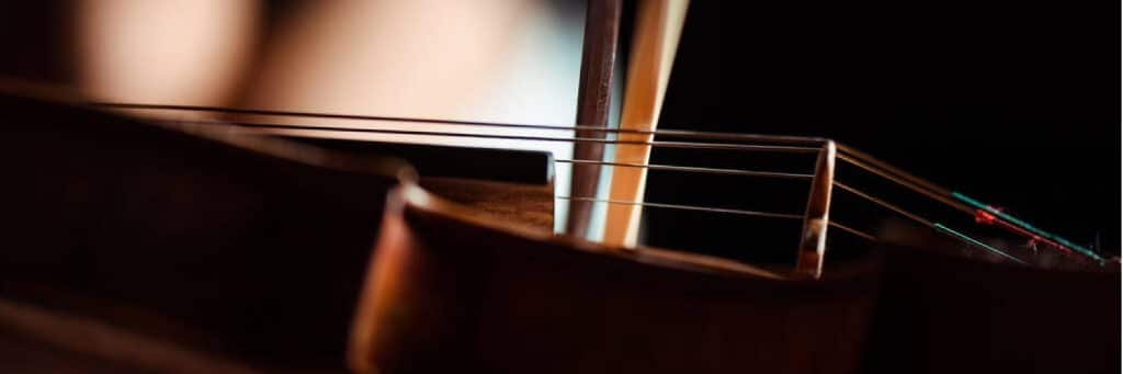 Dimensiones-personalizadas-1500×500-px-3