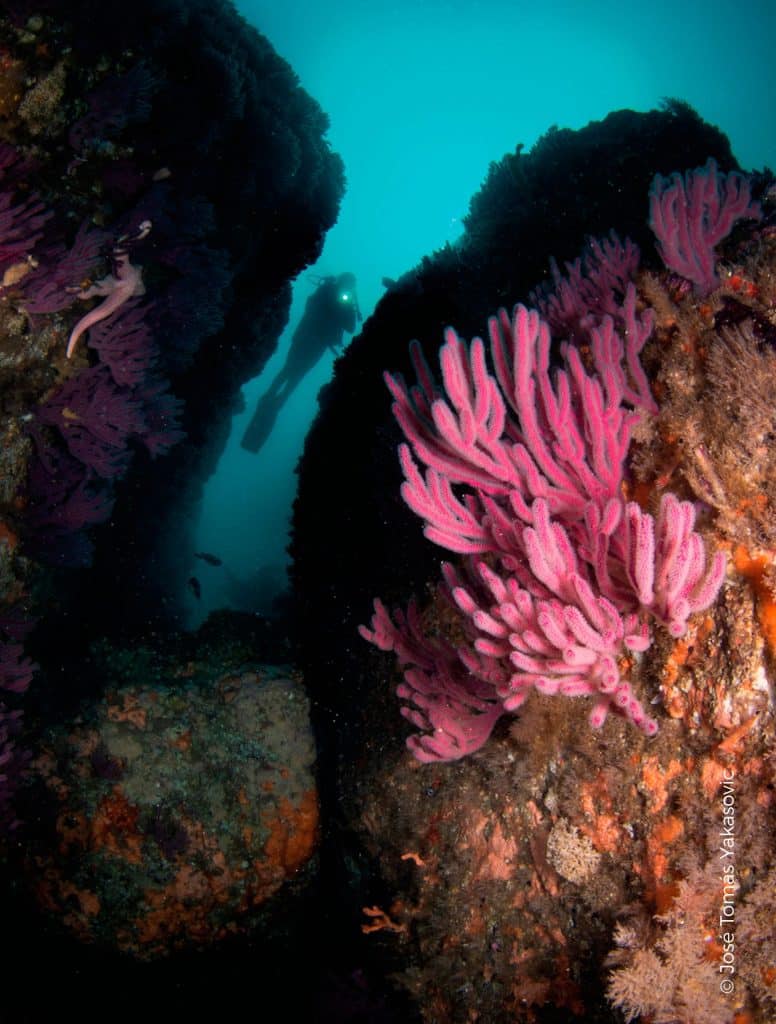 expo-submarina-18-scaled