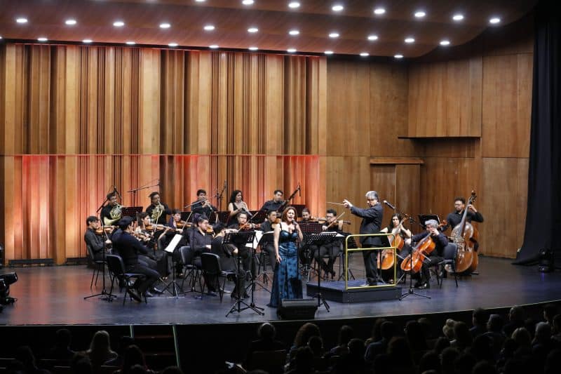Concierto-de-Navidad-Camerata58-800×533-1