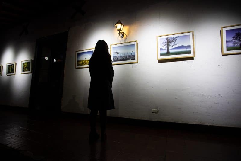 Exposicion-Arbol-Andel-Paulmann-8372-800×533-1