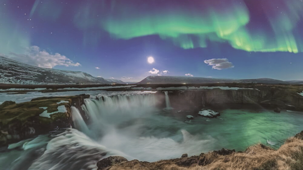 Diseño sin título (7)