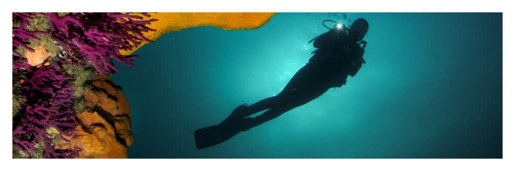 rrss chile sumergido 1500×500