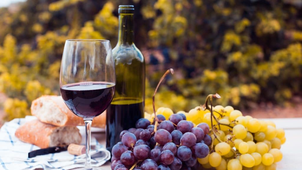 vinos-4