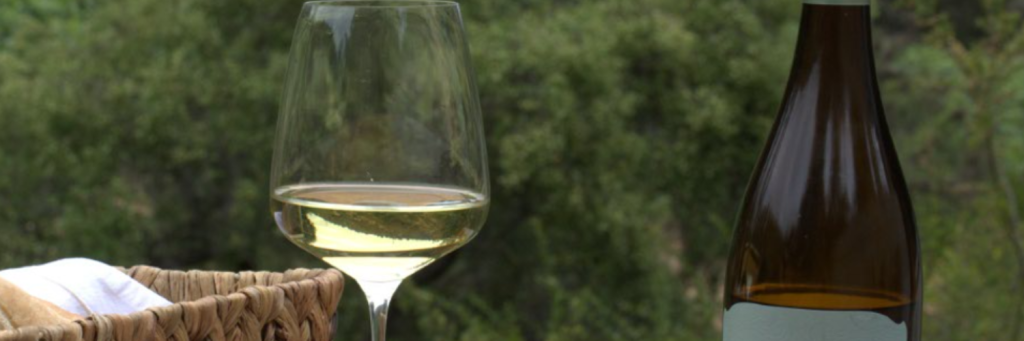 Wine glass partially filled with white wine and a wine bottle on an outdoor table with greenery in the background.